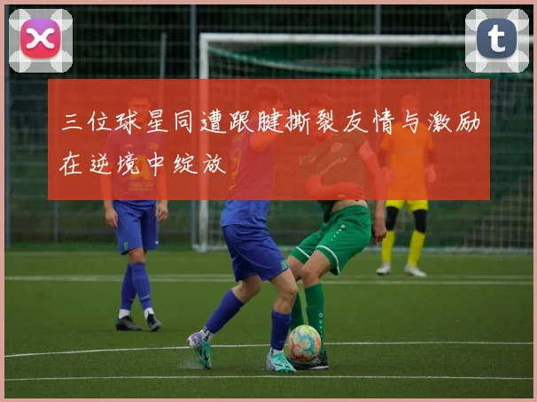 三位球星同遭跟腱撕裂友情与激励在逆境中绽放