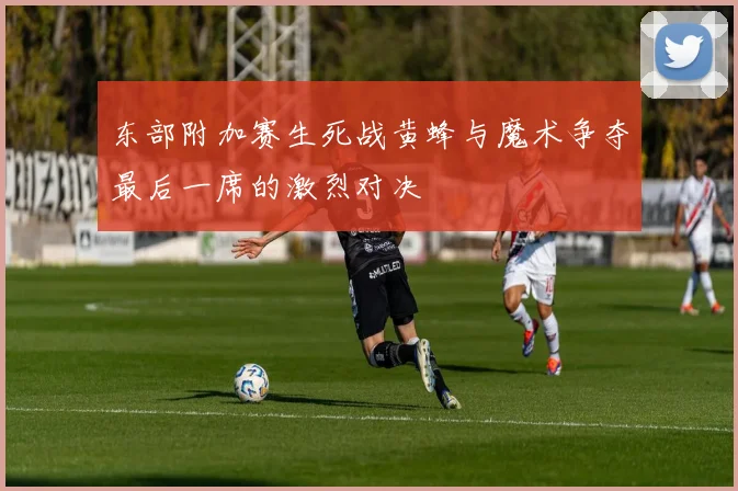 东部附加赛生死战黄蜂与魔术争夺最后一席的激烈对决